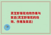 灵芝野菊花功效作用与禁忌(灵芝野菊花的功效、作用及禁忌)