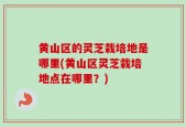 黄山区的灵芝栽培地是哪里(黄山区灵芝栽培地点在哪里？)