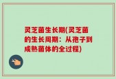 灵芝菌生长期(灵芝菌的生长周期：从孢子到成熟菌体的全过程)