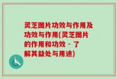 灵芝图片功效与作用及功效与作用(灵芝图片的作用和功效 - 了解其益处与用途)
