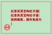 红景天灵芝枸杞子酒(红景天灵芝枸杞子酒：拯救疲惫，提升免疫力)