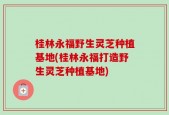 桂林永福野生灵芝种植基地(桂林永福打造野生灵芝种植基地)