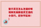 整只灵芝怎么泡酒好呢视频完美酿造灵芝酒的小技巧，赶快学起来！)