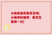 小杨哥推荐黑灵芝吗(小杨哥的推荐：黑灵芝值得一试)