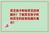 灵芝孢子粉和灵芝区别图片？了解灵芝孢子粉和灵芝的区别及图片展示？