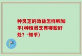 种灵芝的效益怎样呢知乎(种植灵芝有哪些好处？-知乎)