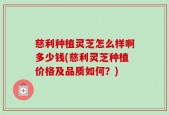 慈利种植灵芝怎么样啊多少钱(慈利灵芝种植价格及品质如何？)