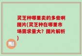 灵芝种哪里卖的多些啊图片(灵芝种在哪里市场需求量大？图片解析)