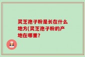 灵芝孢子粉是长在什么地方(灵芝孢子粉的产地在哪里？