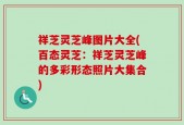 祥芝灵芝峰图片大全(百态灵芝：祥芝灵芝峰的多彩形态照片大集合)