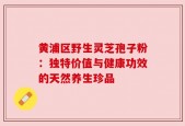 黄浦区野生灵芝孢子粉：独特价值与健康功效的天然养生珍品