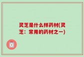 灵芝是什么样药材(灵芝：常用的药材之一)