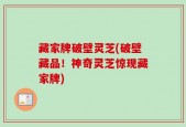 藏家牌破壁灵芝(破壁藏品！神奇灵芝惊现藏家牌)