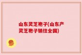 山东灵芝袍子(山东产灵芝袍子销往全国)