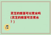 灵芝的根茎可以煮水吗(灵芝的根茎可否煮水？)