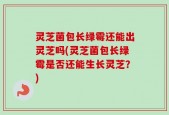 灵芝菌包长绿霉还能出灵芝吗(灵芝菌包长绿霉是否还能生长灵芝？)