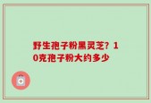 野生孢子粉黑灵芝？10克孢子粉大约多少