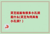 灵芝后面有很多小孔洞是什么(灵芝为何具有小孔洞？)