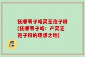 抚顺苇子峪灵芝孢子粉(抚顺苇子峪：产灵芝孢子粉的理想之地)