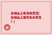 古城山上有没有灵芝(古城山上是否生长灵芝？)
