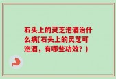 石头上的灵芝泡酒治什么病(石头上的灵芝可泡酒，有哪些功效？)