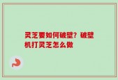灵芝要如何破壁？破壁机打灵芝怎么做
