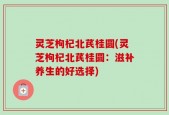 灵芝枸杞北芪桂圆(灵芝枸杞北芪桂圆：滋补养生的好选择)