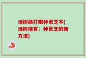 活树能打眼种灵芝不(活树培育：种灵芝的新方法)