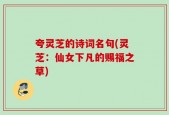 夸灵芝的诗词名句(灵芝：仙女下凡的赐福之草)