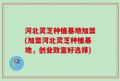 河北灵芝种植基地加盟(加盟河北灵芝种植基地，创业致富好选择)