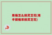 用桶怎么摘灵芝花(用手提桶采摘灵芝花)