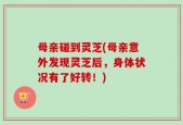 母亲碰到灵芝(母亲意外发现灵芝后，身体状况有了好转！)