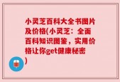 小灵芝百科大全书图片及价格(小灵芝：全面百科知识图鉴，实用价格让你get健康秘密)