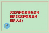 灵芝的种类有哪些品种图片(灵芝种类及品种图片大全)