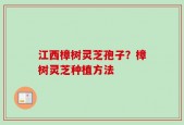 江西樟树灵芝孢子？樟树灵芝种植方法