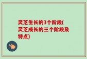 灵芝生长的3个阶段(灵芝成长的三个阶段及特点)