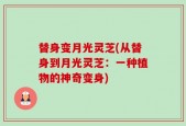 替身变月光灵芝(从替身到月光灵芝：一种植物的神奇变身)