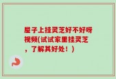 屋子上挂灵芝好不好呀视频(试试家里挂灵芝，了解其好处！)