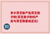 多少灵芝能产出灵芝孢子粉(灵芝孢子粉的产出与灵芝数量成正比)