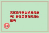 灵芝孢子粉会诱发痔疮吗？野生灵芝有药用价值吗