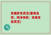完美野生灵芝(重现自然，纯净有机：完美生态灵芝)
