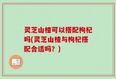 灵芝山楂可以搭配枸杞吗(灵芝山楂与枸杞搭配合适吗？)