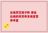 云南灵芝孢子粉 源自云南的天然养生瑰宝营养丰富