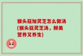 猴头菇加灵芝怎么做汤(猴头菇灵芝汤，鲜美营养又养生)