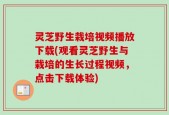 灵芝野生栽培视频播放下载(观看灵芝野生与栽培的生长过程视频，点击下载体验)
