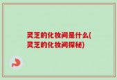 灵芝的化妆间是什么(灵芝的化妆间探秘)