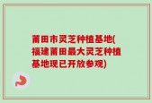 莆田市灵芝种植基地(福建莆田最大灵芝种植基地现已开放参观)