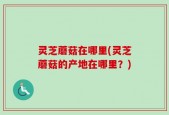 灵芝蘑菇在哪里(灵芝蘑菇的产地在哪里？)