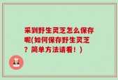 采到野生灵芝怎么保存呢(如何保存野生灵芝？简单方法请看！)