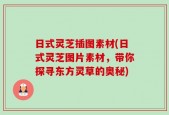 日式灵芝插图素材(日式灵芝图片素材，带你探寻东方灵草的奥秘)